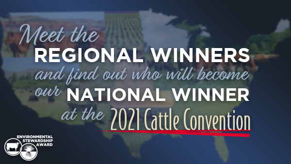 21_esap_meetwinners_webgraphic_03-08-2021-88.jpg ESAP Regional winner
